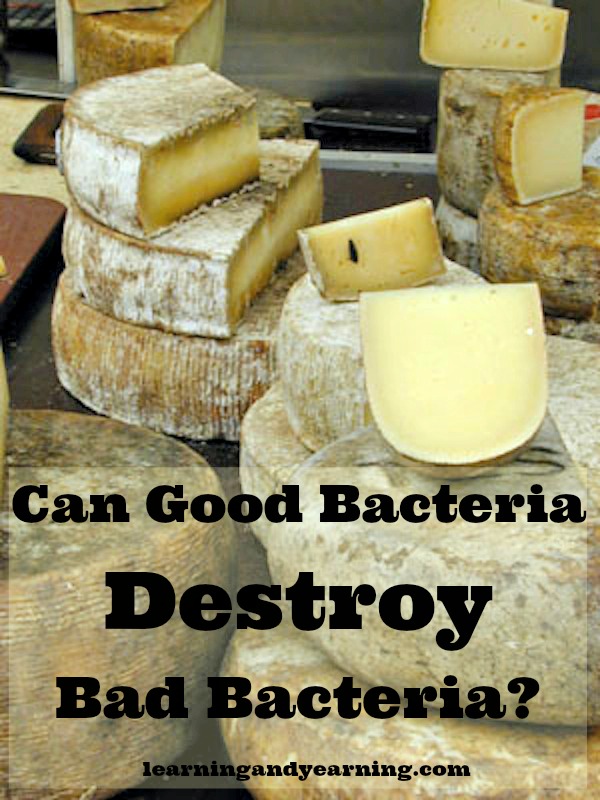 Good Bacteria kills Bad Bacteria
