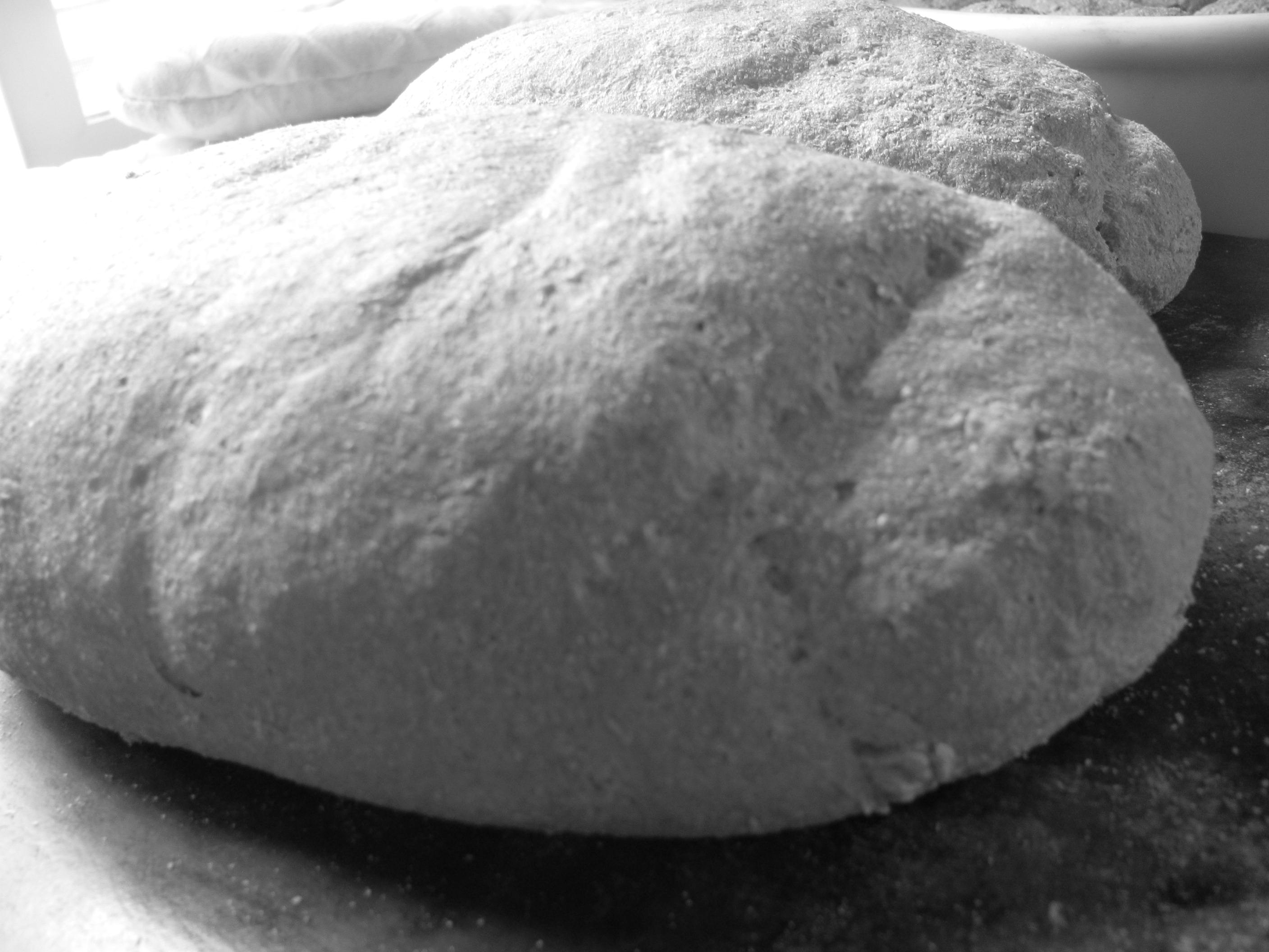 Chaya's French Loaves