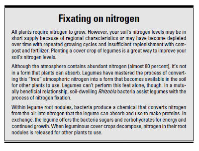 Fixating on Nitrogen P. 171