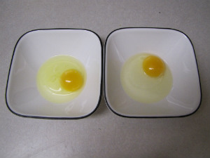 Eggs side by side 2