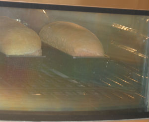 Robbin's bread in the oven!