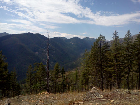 Montana View