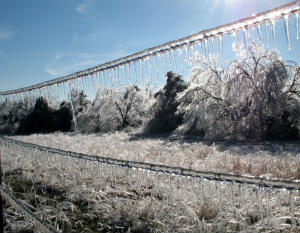 Ice Storm