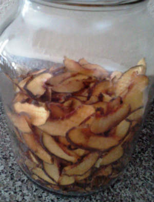 Huge jar of dehydrated peaches