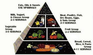 old USDA food pyramid