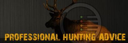 Professional Hunting Advice
