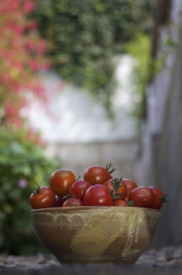 bowl of tomatoes