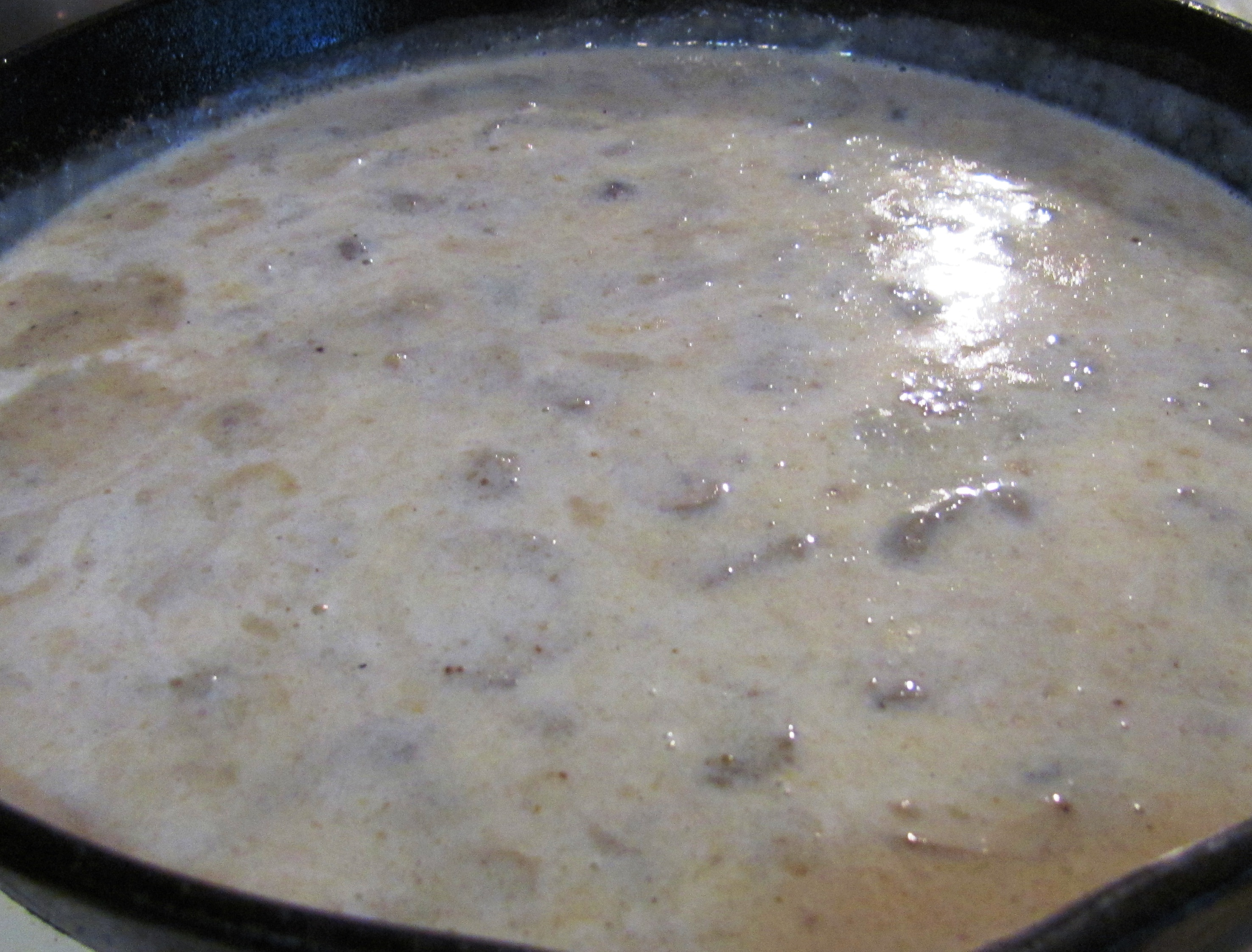 Chaya's Homemade Cream of Mushroom Soup