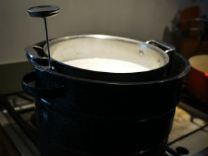 Goat Milk in Pot with Thermometer