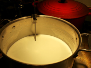 Bring milk to almost boiling