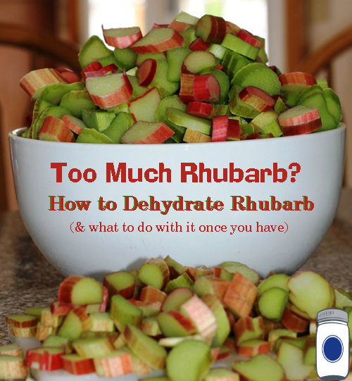 How to Dehydrate Rhubarb