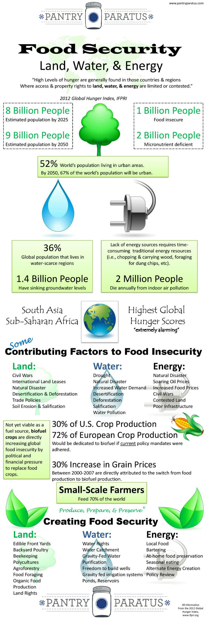 Food Security Infograph