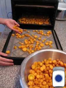 lay carrots on the dehydrator tray