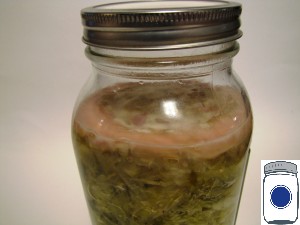 Mold on top of Fermentation