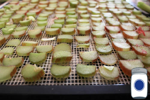 Dehydrating Rhubarb