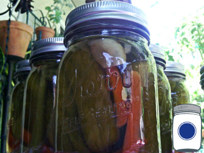 Pickled Cucumbers