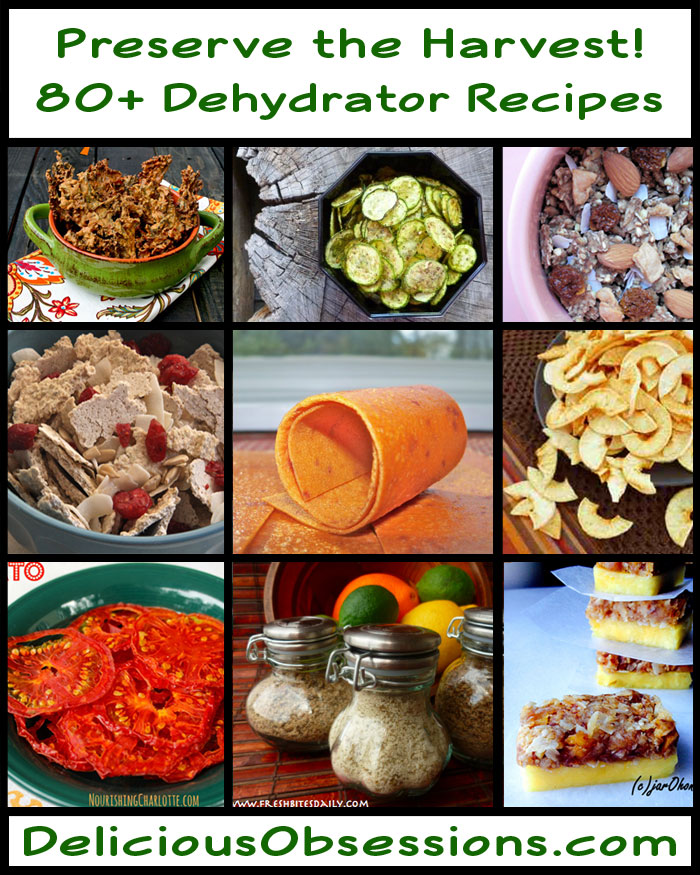 Dehydrator Recipes