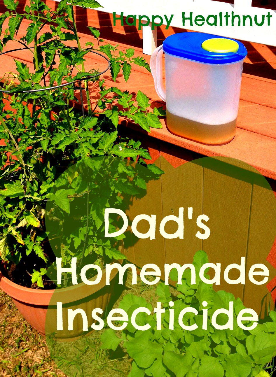 DIY Insecticide