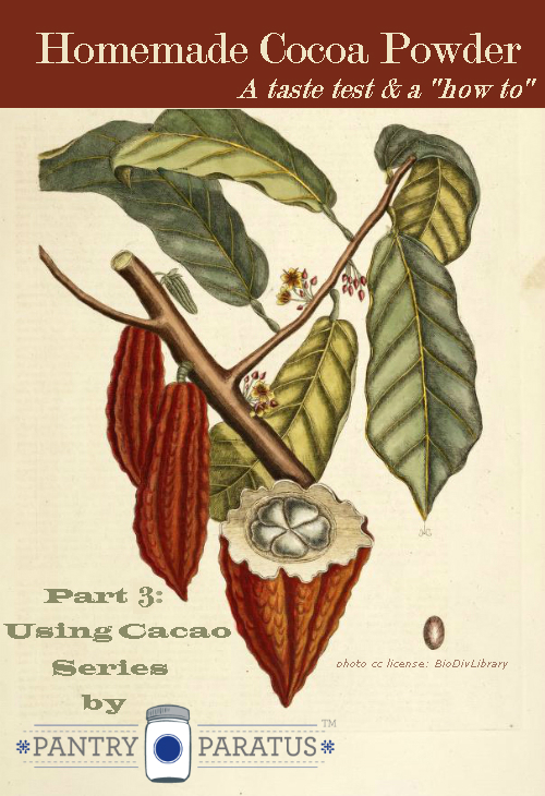 Cómo hacer cacao en polvo casero