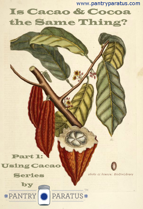 Is Cocoa and Cacao the Same Thing