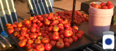 Homegrown Tomatoes