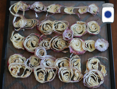 Dehydrated Onions