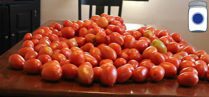 Tomatoes to peel