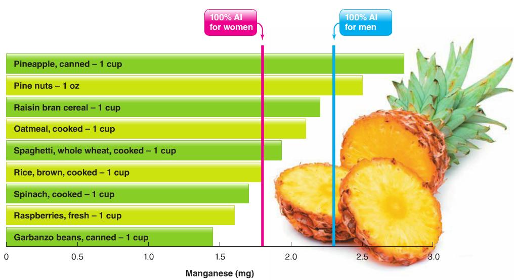 Manganese Sources