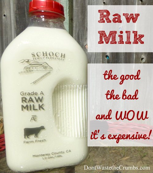 Raw Milk Benefits and Drawbacks
