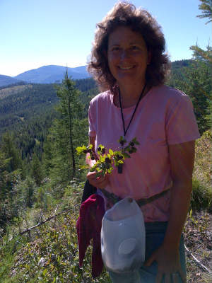 My friend teaching me how to pick Huckleberries