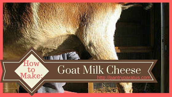 How to Make Goat Milk Cheese