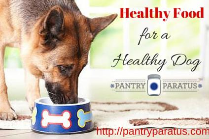 Healthy Food for a Healthy Dog