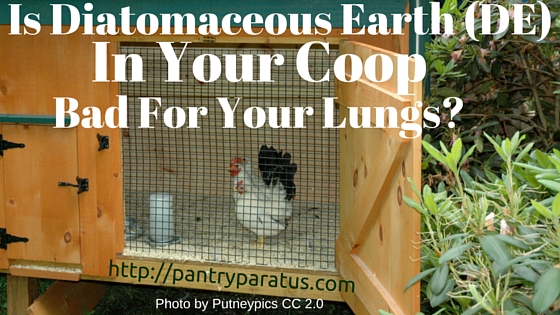 Diatomaceous Earth in Your Coop