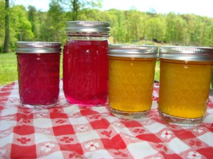 Dandelion and Violet Jelly