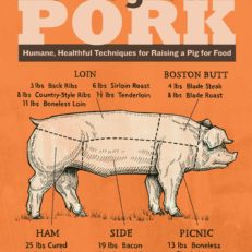 homegrown_pork.jpg
