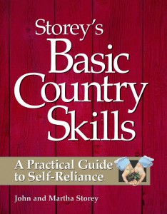 storeys basic skills