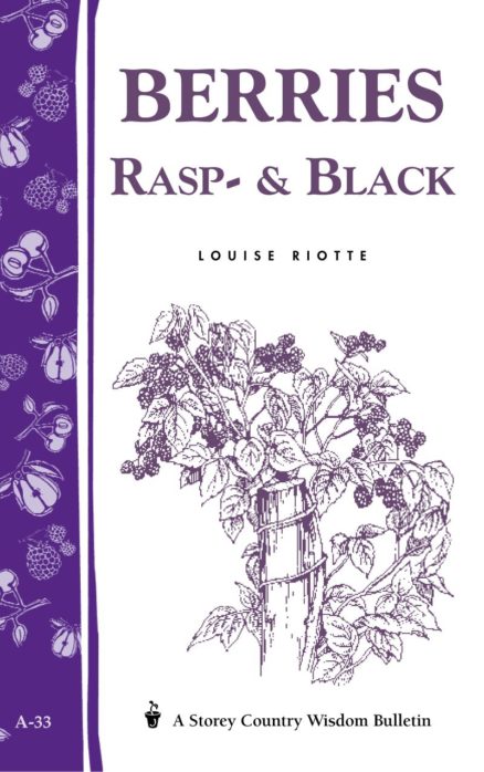 Berries: Rasp & Black