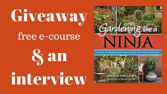 Giveaway, e-course, and interview