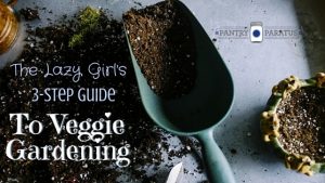 The Lazy Girl's 3 Step Guide to Veggie Gardening