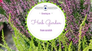 growing an herb garden