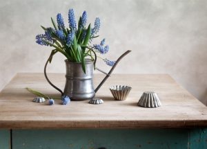 rustic kitchen: planter on table
