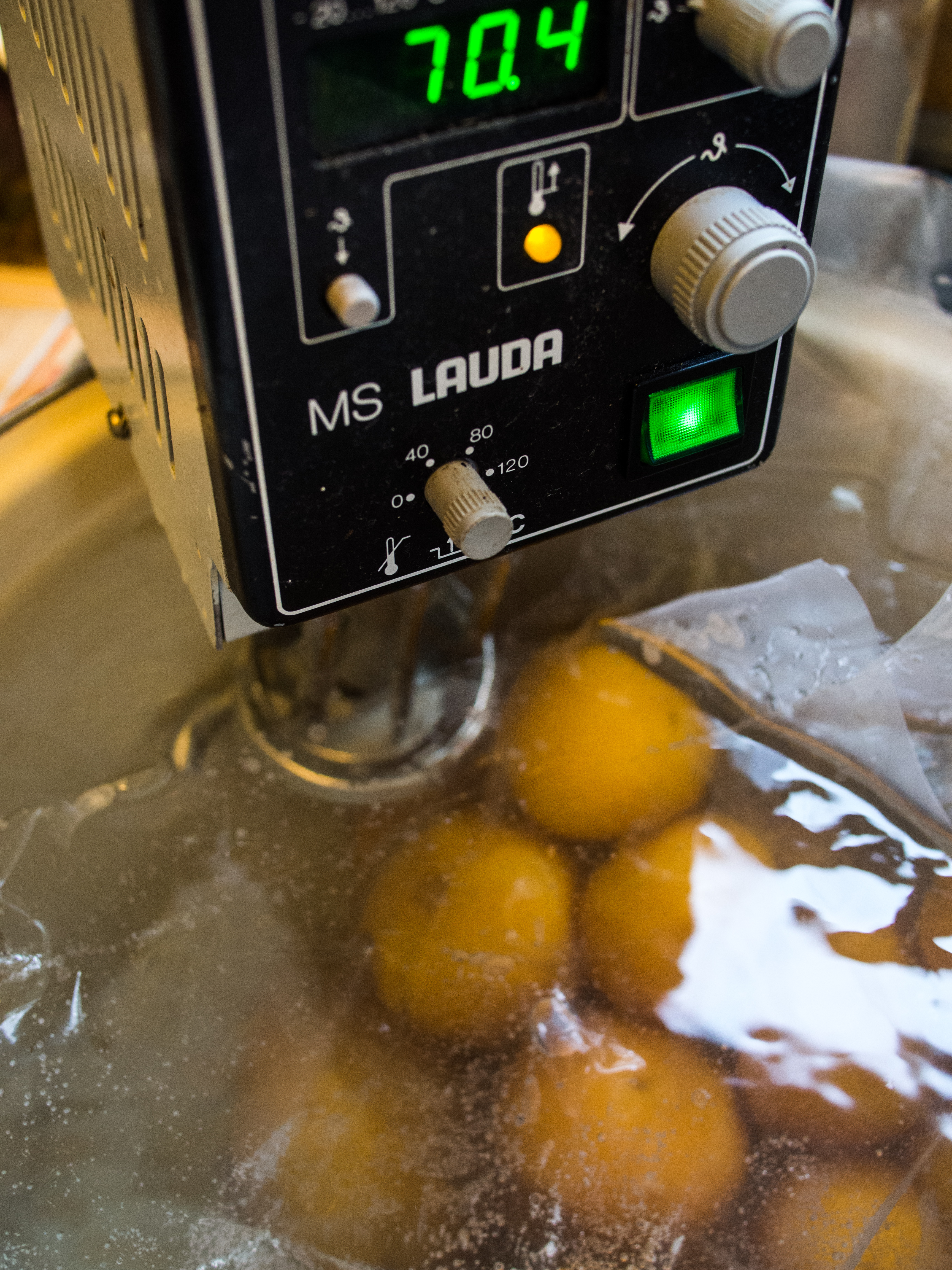Third stage of Sous Vide Glacé treatment. Oranges and Clementines bagged with double-concentrated simple syrup. Back in the water bath at 70°C