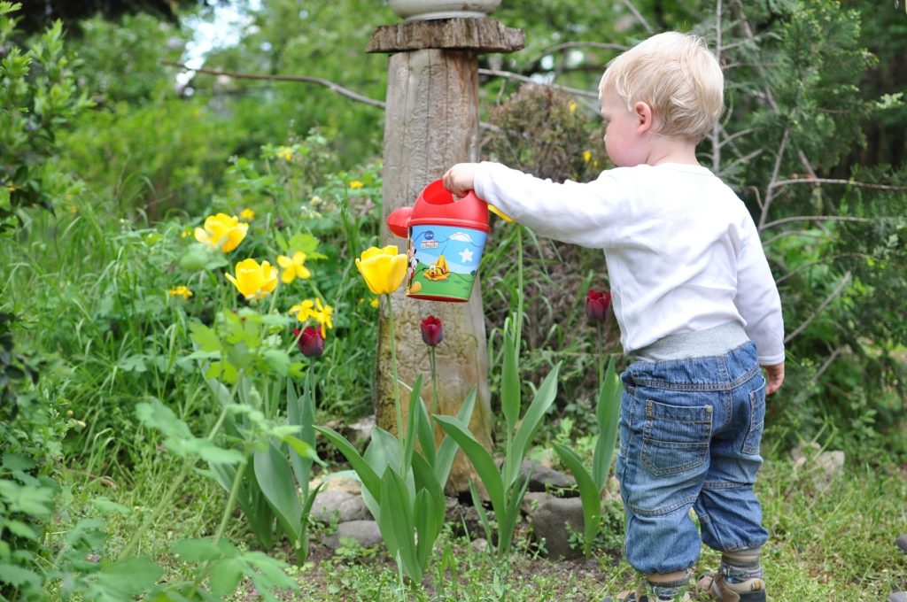 toddler watering plants