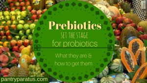 Prebiotics