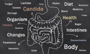 Intestinal health